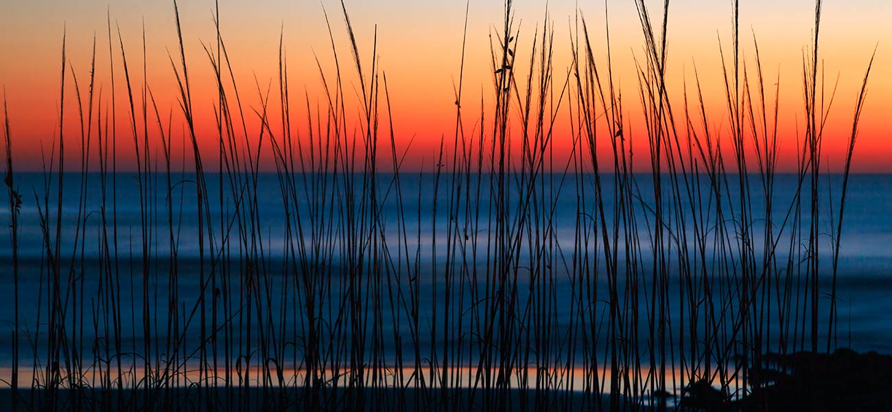 Surfcamp Francia surfcampfrankreich duenenlandschaft