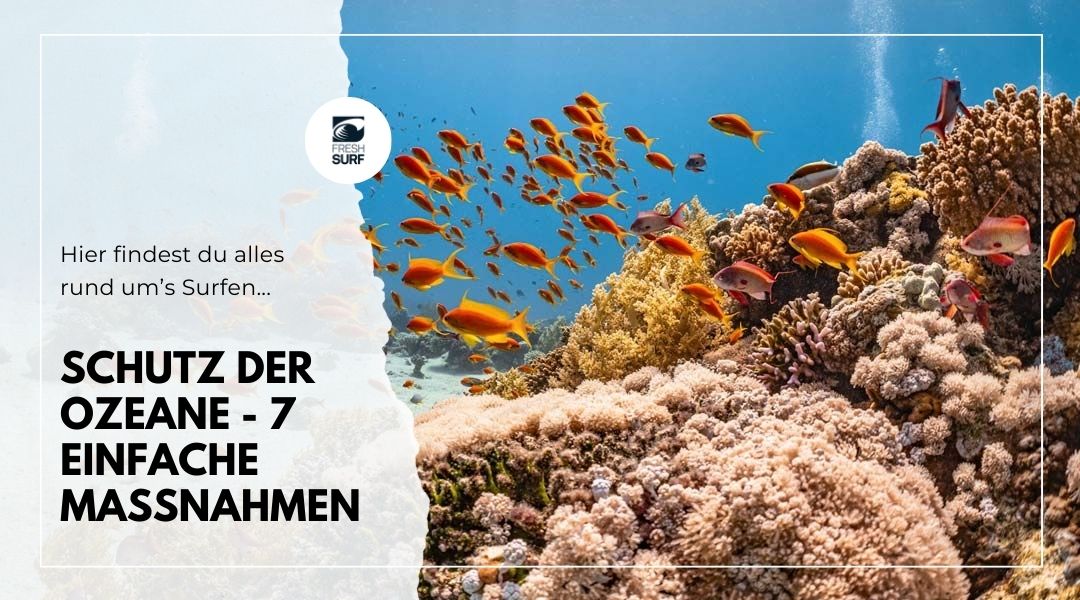 7 einfache Maßnahmen zum Schutz der Ozeane