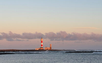 Blog 2 Surfen im November auf Fuerteventura – unser Monatsrückblick